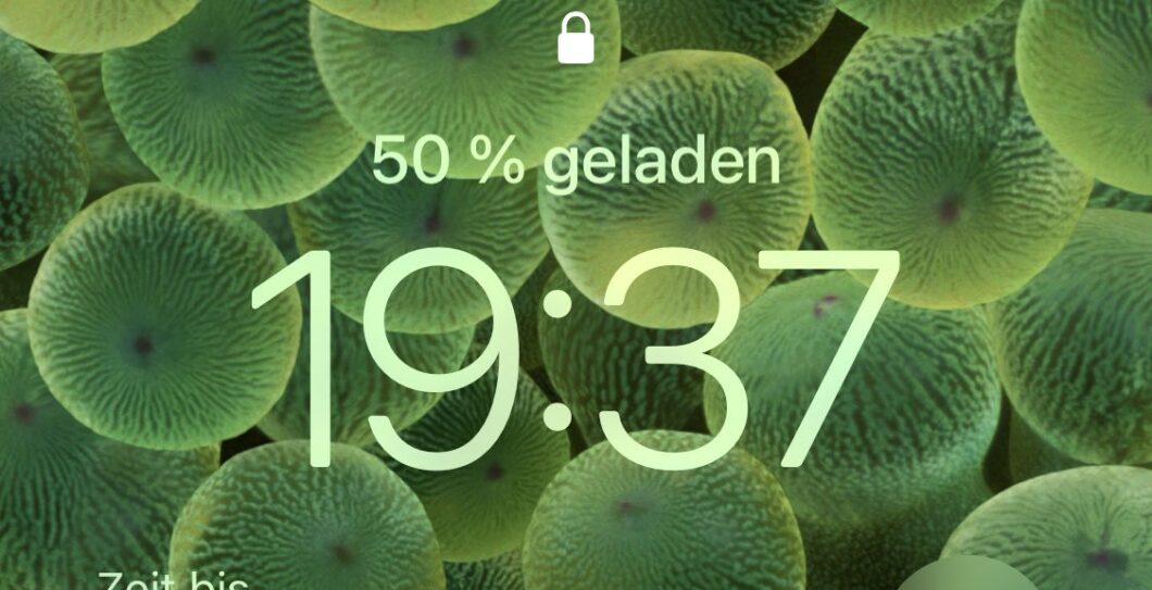Indicador também aparecerá na tela de bloqueio do iOS 16.1 quando celular estiver sendo recarregado (Imagem: Reprodução/iSpeedtestOS/Twitter)