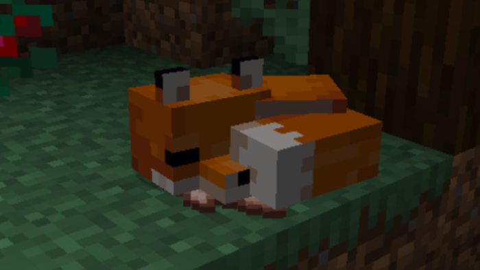 raposa minecraft