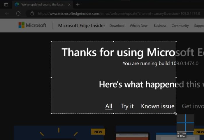 Captura de tela parcial via Edge Drop (imagem: Windows Latest)