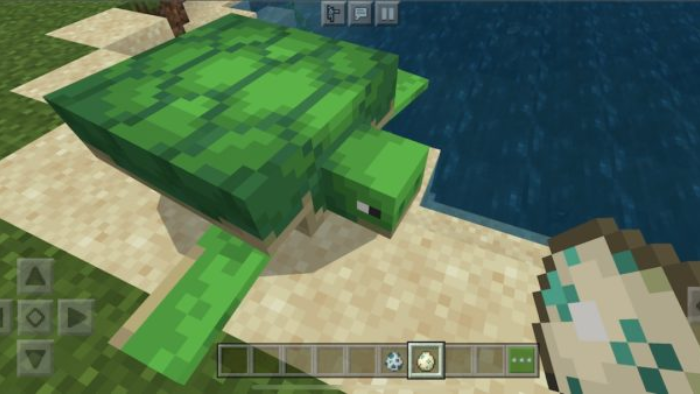 tartaruga minecraft