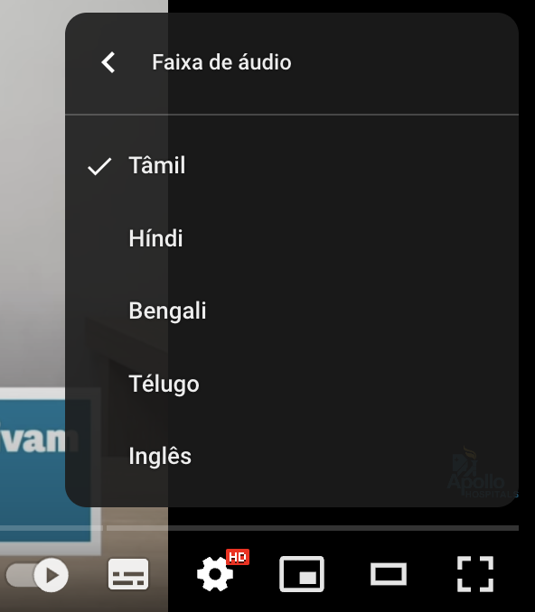Audio change option is in the same menu as subtitles