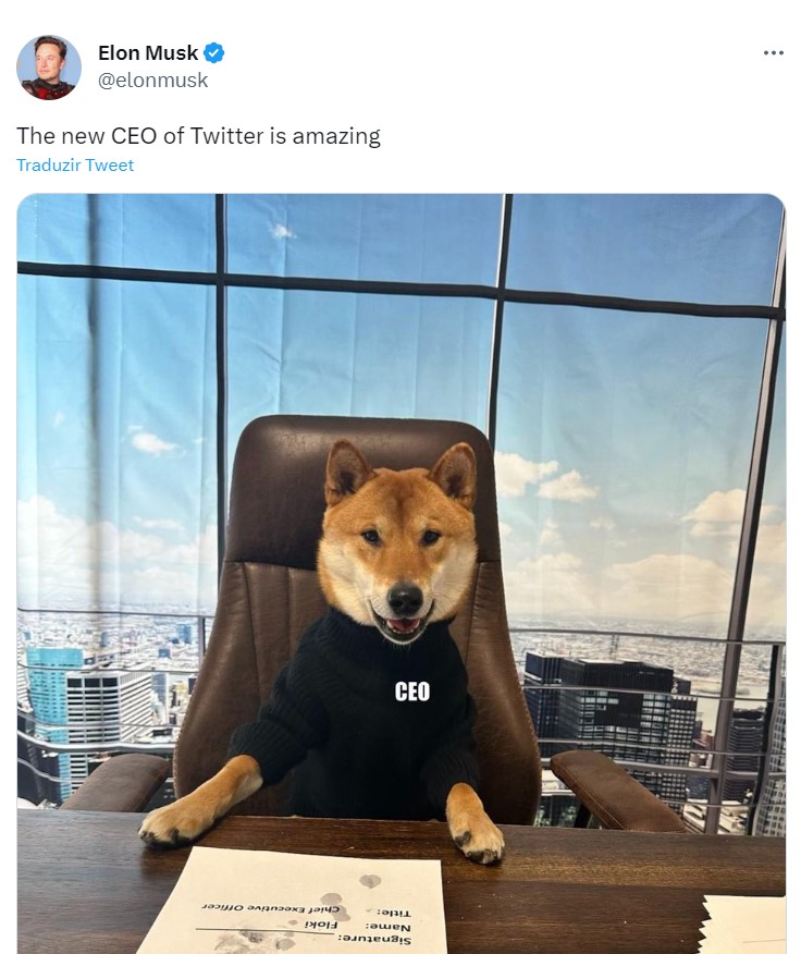 Elon Musk brinca que Floki, o cachorro, é o novo CEO do Twitter (Imagem: Reprodução)