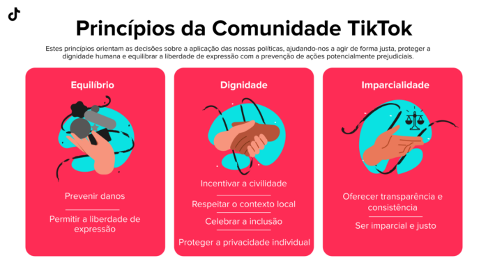 Princípios da Comunidade TikTok