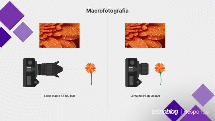 Macro com diferentes distâncias focais (imagem: Vitor Pádua/Tecnoblog)
