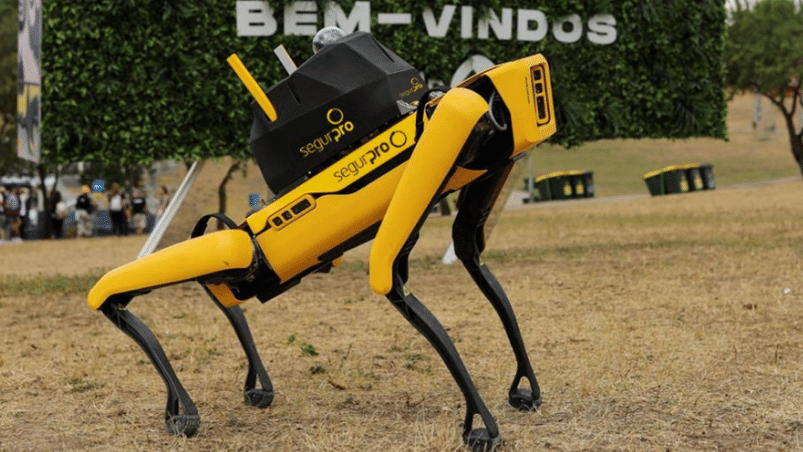 Cão-robô amarelo sobre quatro patas