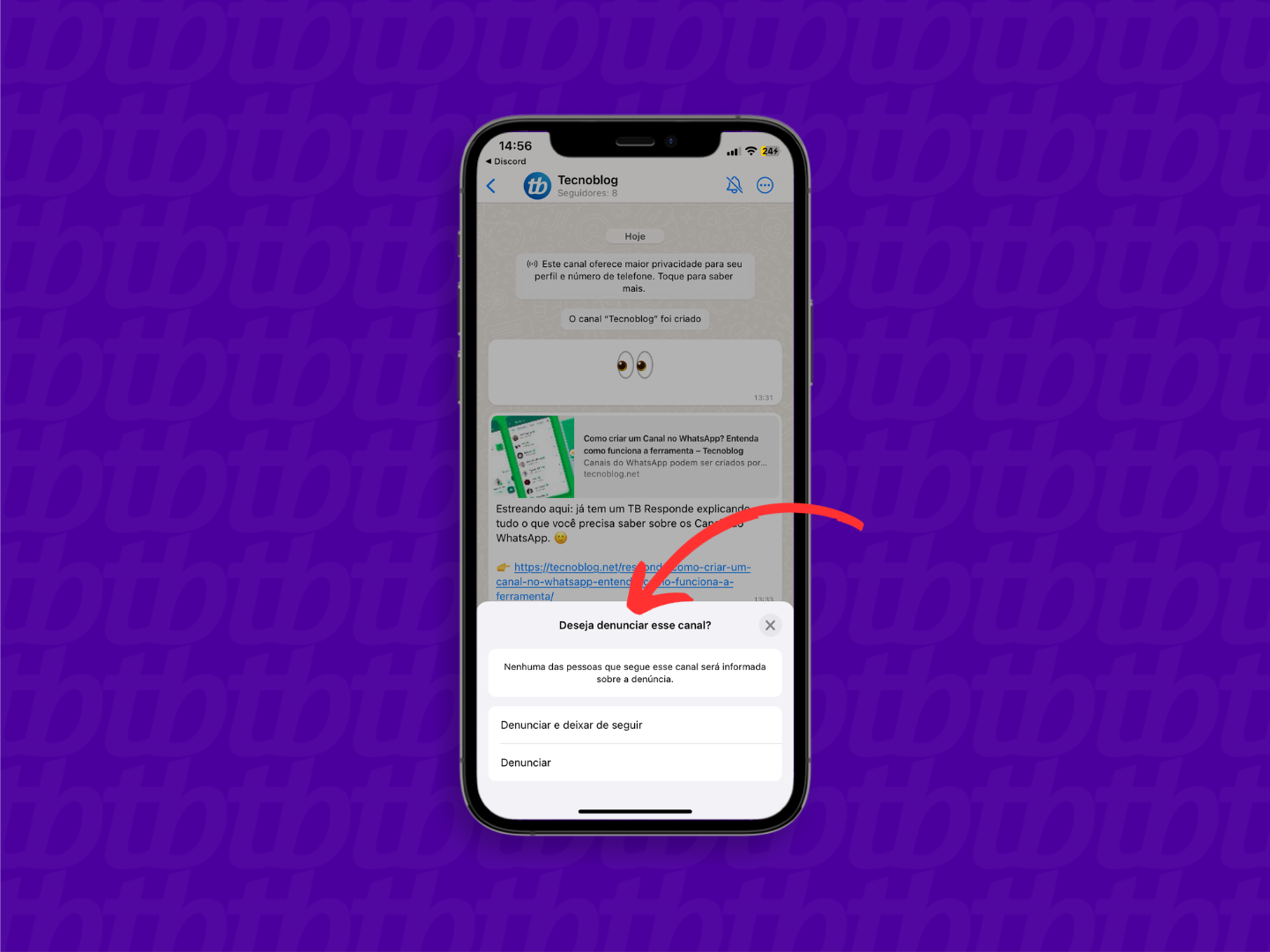 Mockup de iPhone com print de tela de WhatsApp que mostra o novo canal do tecnoblog. Uma seta indica a tela de confirmação de denúncia, localizada na parte inferior da tela.