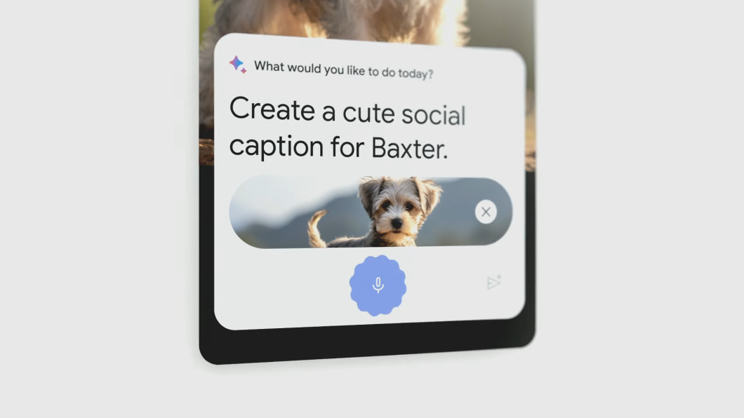 Tela ilustrativa de celular, com o pedido para o Bard escrever uma legenda para redes sociais para uma foto de cachorro