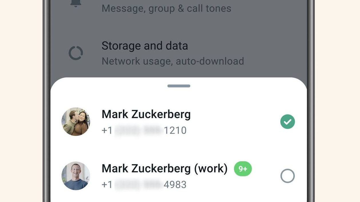 Interface do WhatsApp com duas linhas ativas