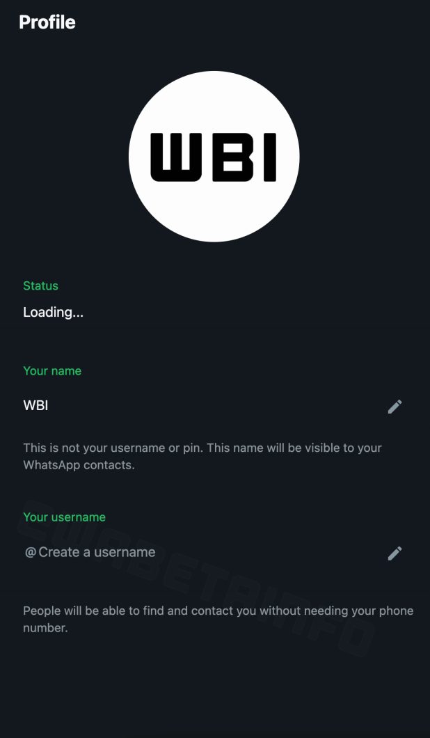 Tela das configurações do WhatsApp Web com campo para nome de usuário
