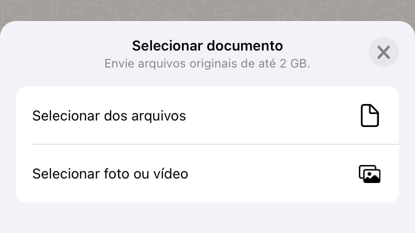 Recurso de enviar fotos e vídeos em alta qualidade só está disponível no iOS — por enquanto (imagem: Vitor Pádua/Tecnoblog)
