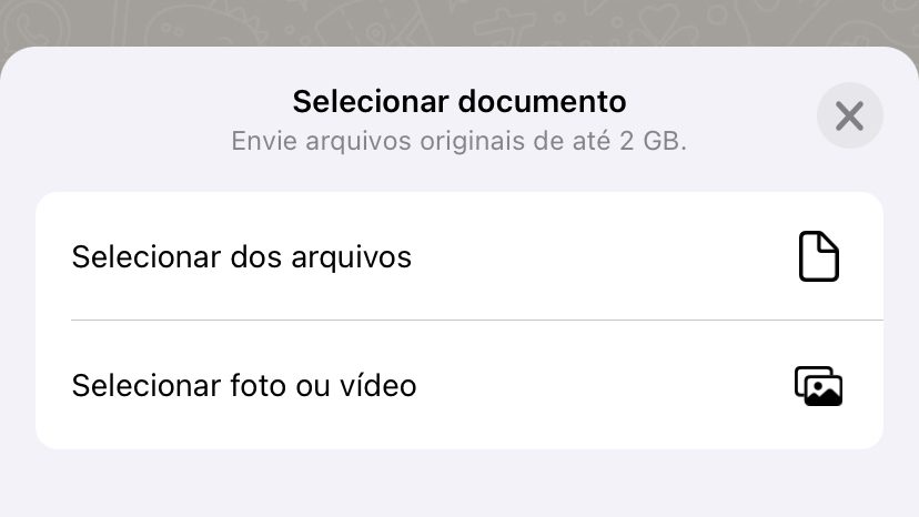 Como fazer ou enviar GIFs direto no WhatsApp pelo iPhone ou Android –  Tecnoblog