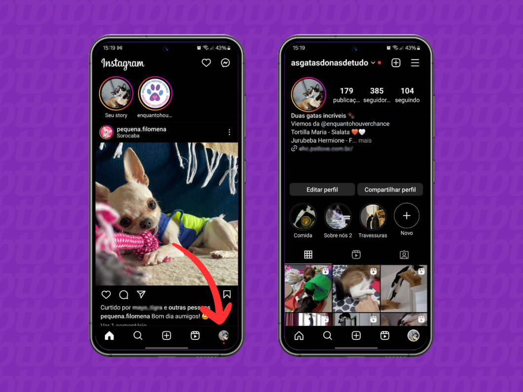 Capturas de tela do aplicativo Instagram mostram como acessar o perfil