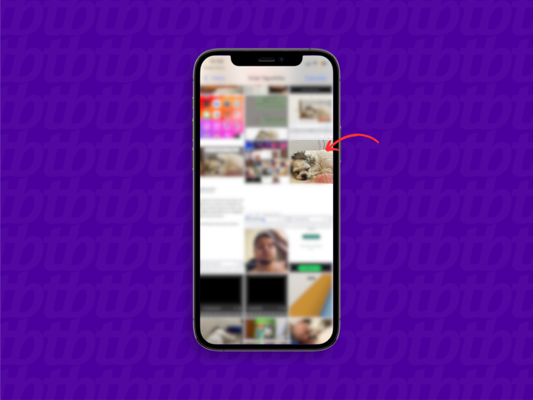 Captura de tela do aplicativo WhatsApp mostra como escolher uma foto para criar Figurinhas