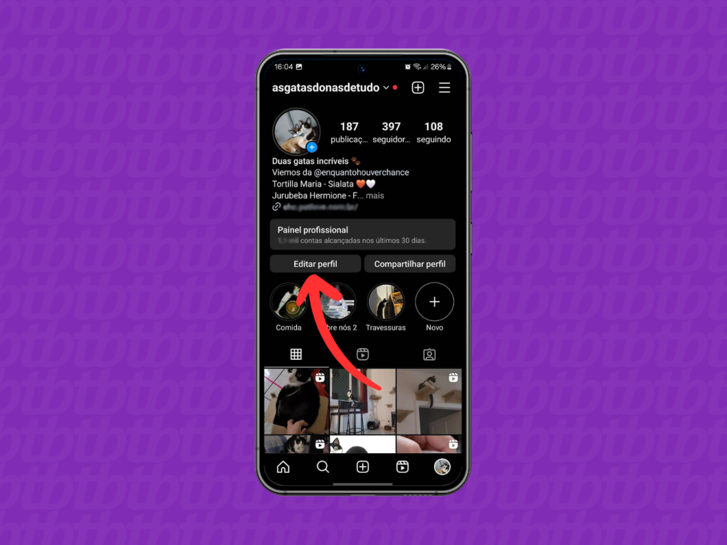 Captura de tela do aplicativo Instagram indica como acessar a opção "Editar perfil"