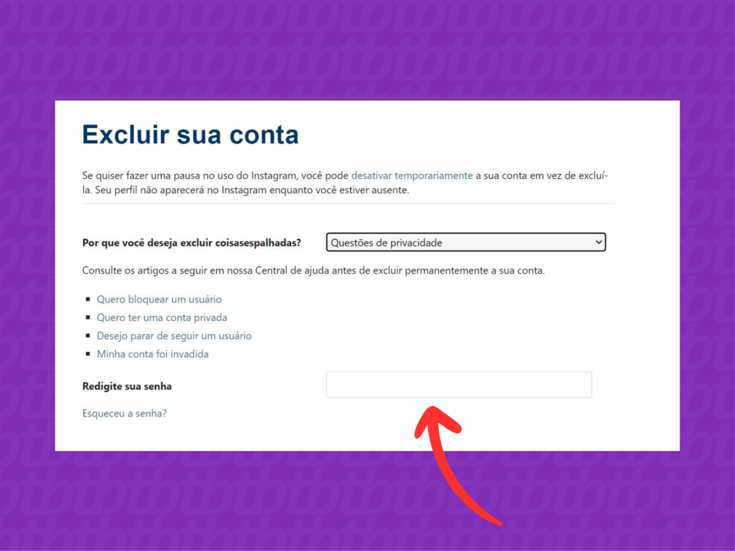 Print do navegador mostra como inserir a senha para processo de exclusão da conta do Instagram