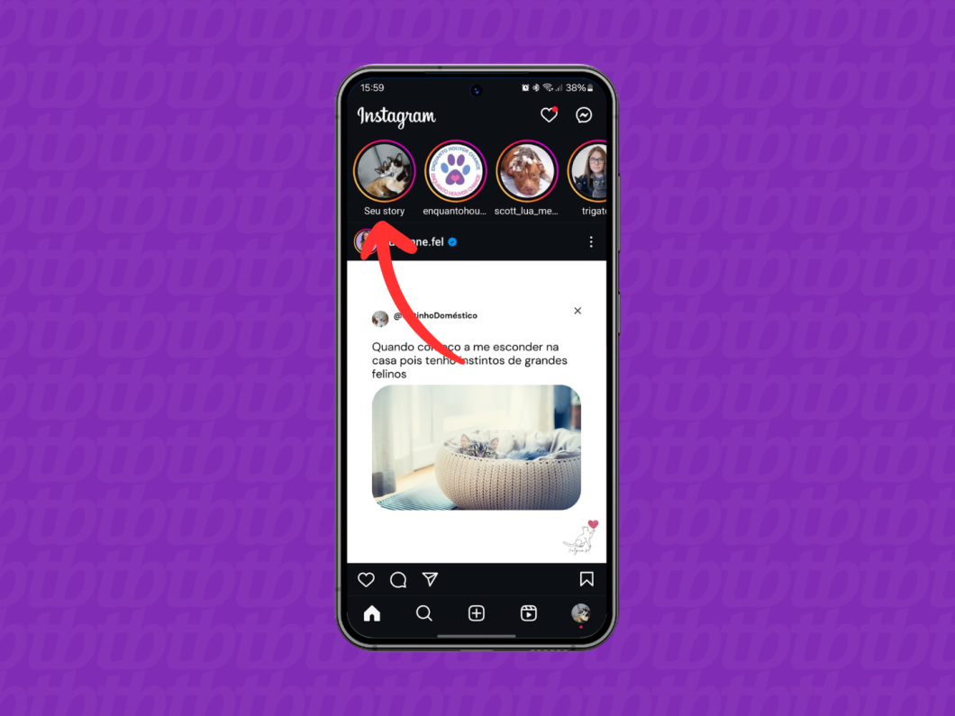 Captura de tela do aplicativo Instagram mostra como acessar a área Seu Story