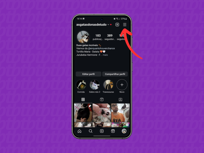 Como ver o status da sua conta do Instagram • Tecnoblog