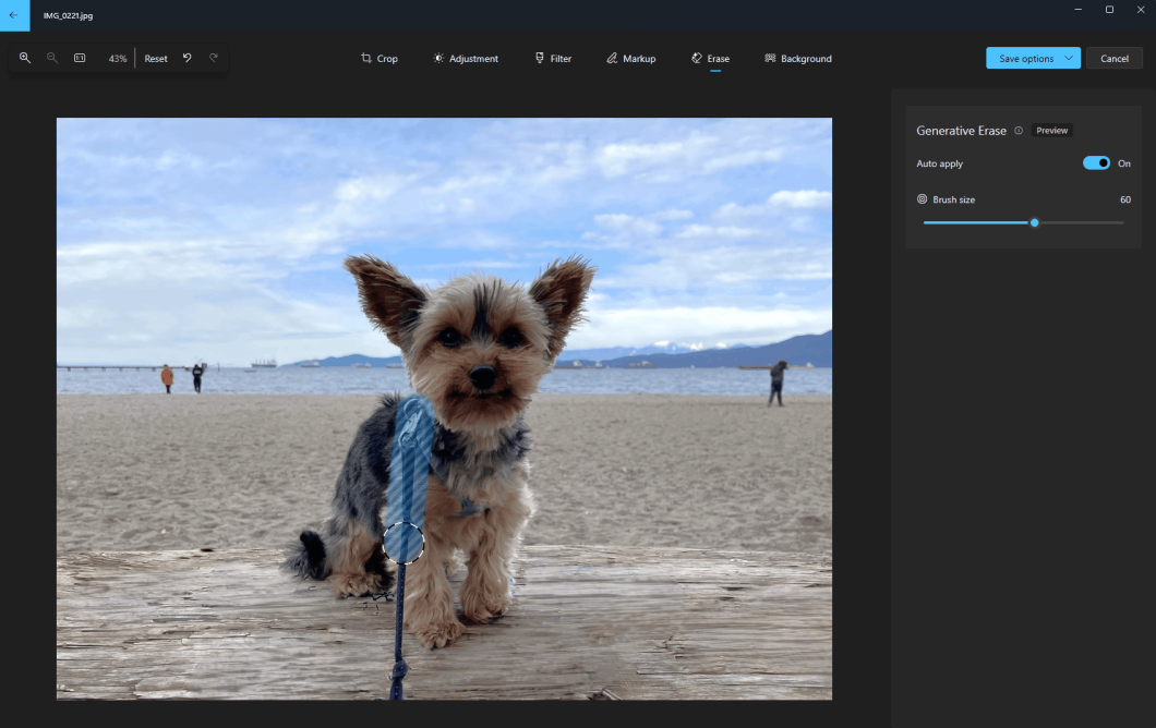Imagem de cachorro na praia com uma ferramenta de seleção "pintando" a área da guia da coleira