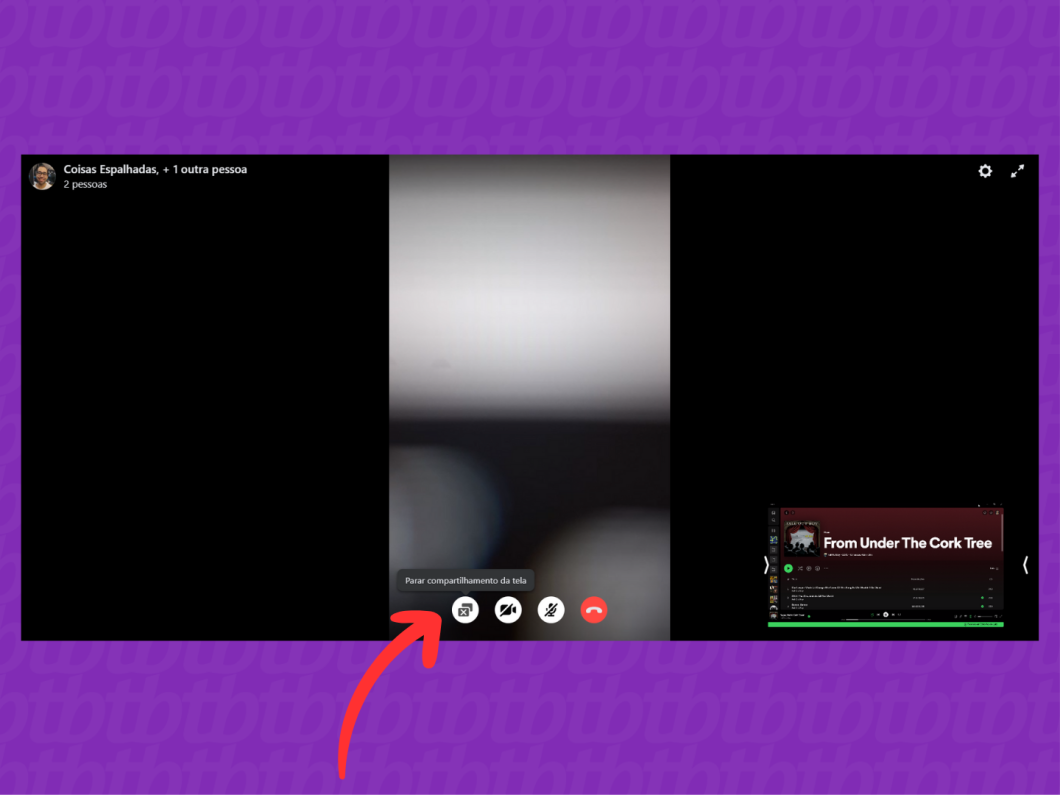 Captura de tela do site Instagram mostra como encerrar o compartilhamento da tela em uma chamada de vídeo no PC