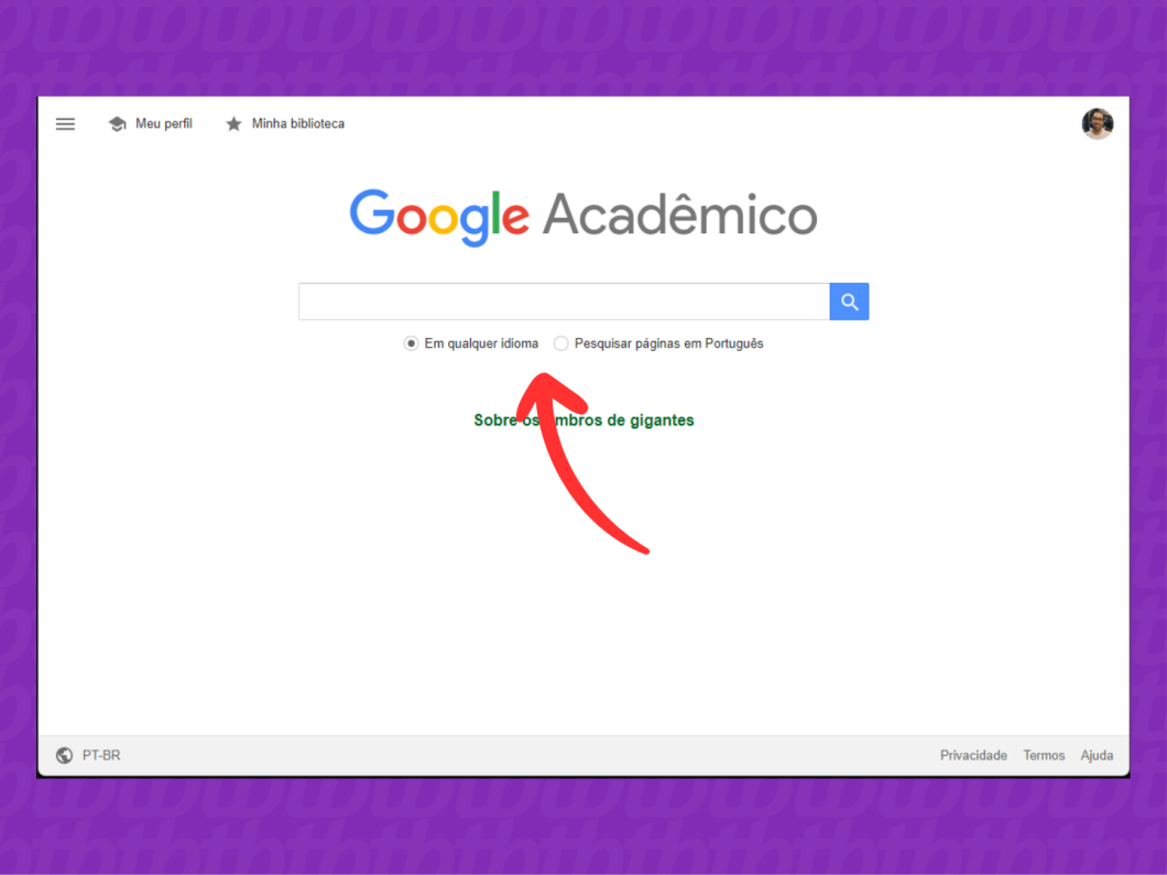 Captura de tela do Google Acadêmico mostra como selecionar a pesquisa em qualquer idioma ou apenas em português