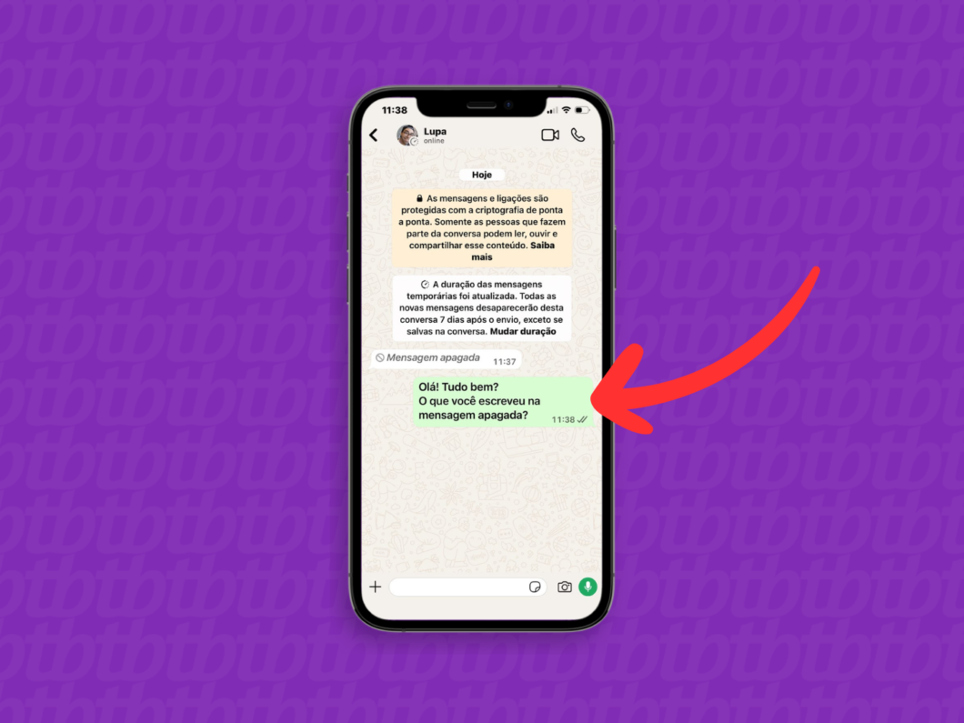 imagem do whatsapp com uma perguntando à outra pessoa o conteúdo da mensagem excluída