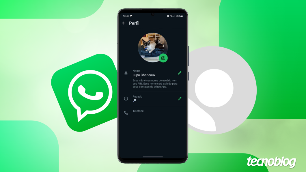Ilustração mostra um celular Android com o aplicativo WhatsApp aberto na página perfil