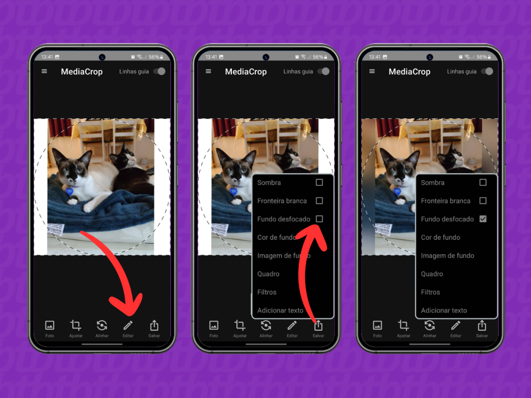Captura de tela do aplicativo MediaCrop mostra editar as bordas de uma imagem inteira para ser foto de perfil do WhatsApp