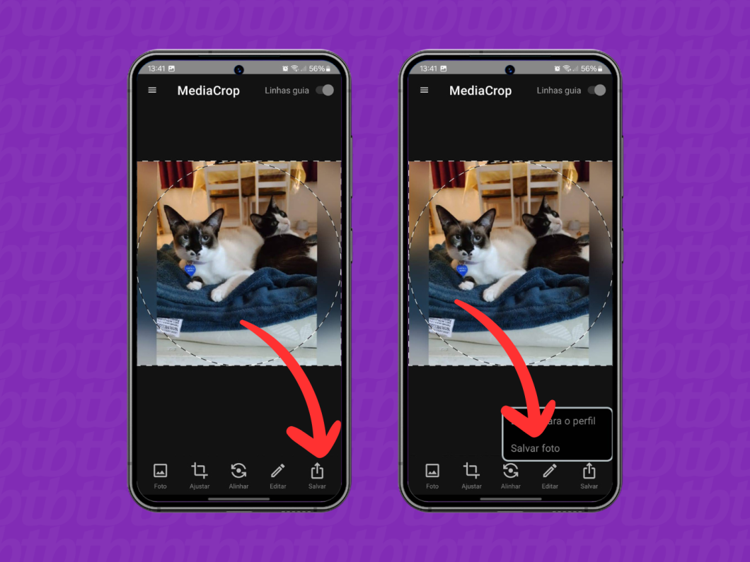 Captura de tela do aplicativo MediaCrop mostra salvar uma imagem inteira para ser foto de perfil do WhatsApp