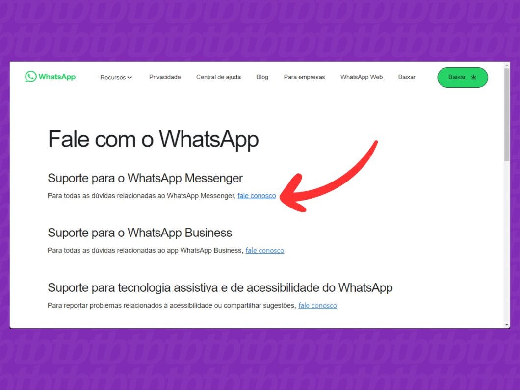 Captura de imagem do site WhatsApp mostra como acessar o formulário "Fale Conosco"