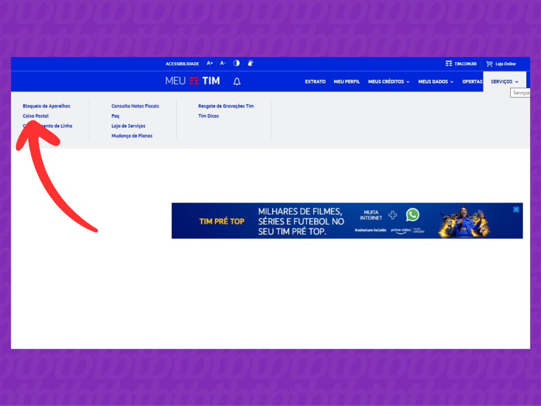 Captura de tela do site Meu TIM mostra como acessar a opção "Caixa Postal"