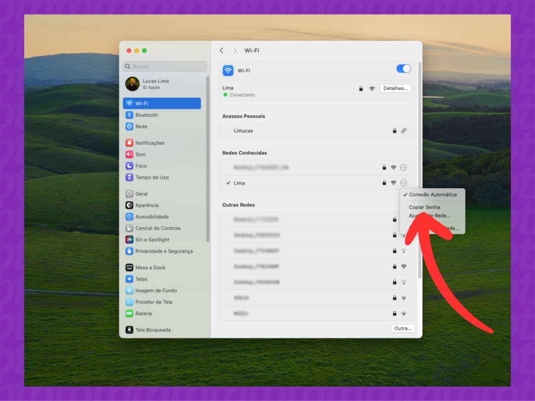 Captura de tela do macOS mostra como copiar a senha do Wi-Fi que conectado