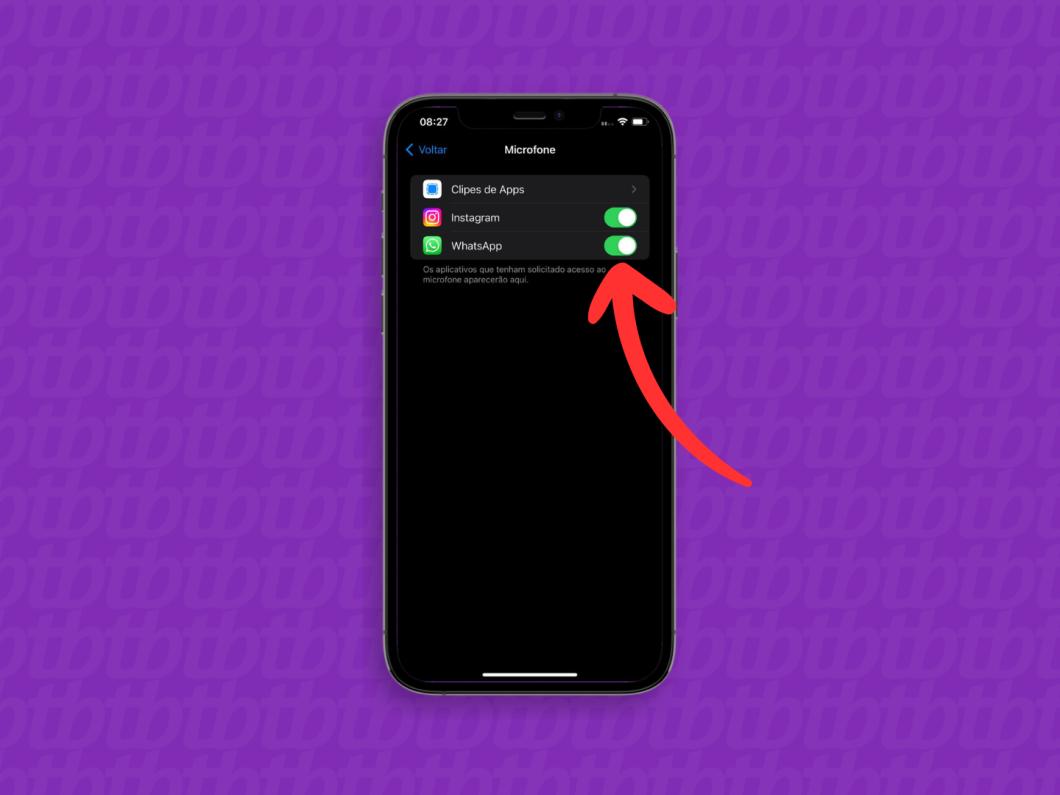 Captura de tela do iPhone mostra como habilitar o microfone para uso no WhatsApp
