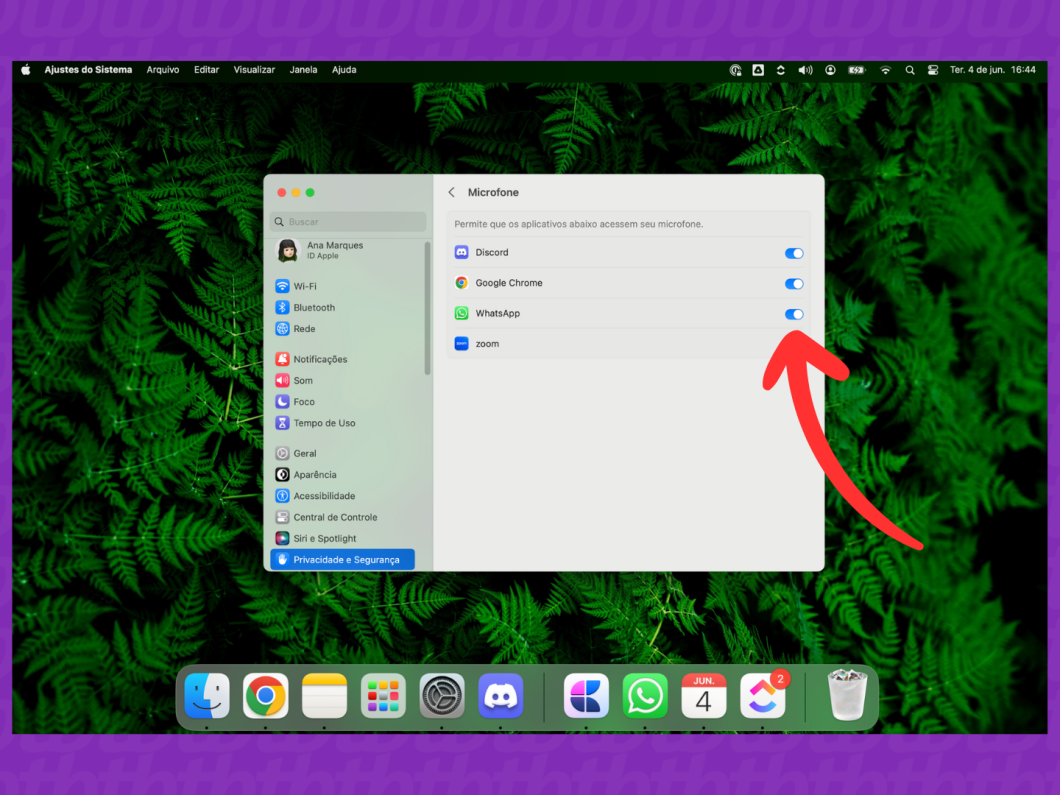 Captura de tela do Mac mostra como habilitar o uso do microfone no WhatsApp