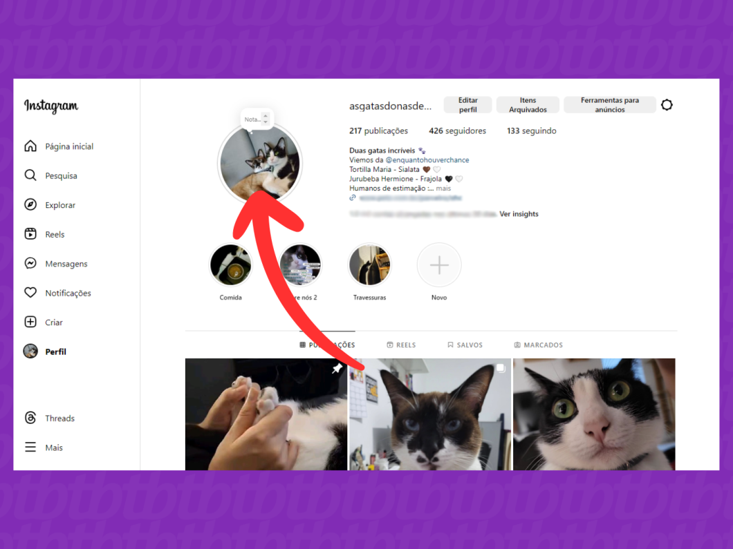Captura de tela do site Instagram mostra como abrir os stories recentes