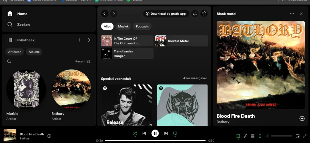 Bug fez playlists sumirem do Spotify (Imagem: Reprodução/Rayyvi)