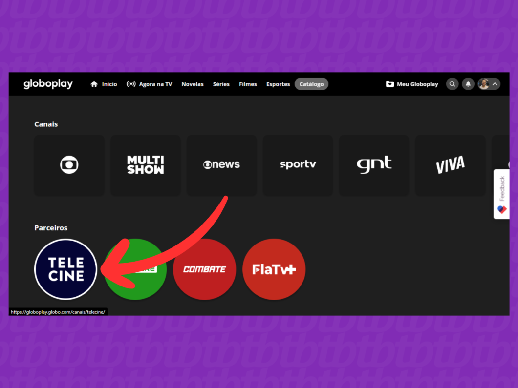Captura de tela do site Globoplay mostra como acessar o catálogo "Telecine"