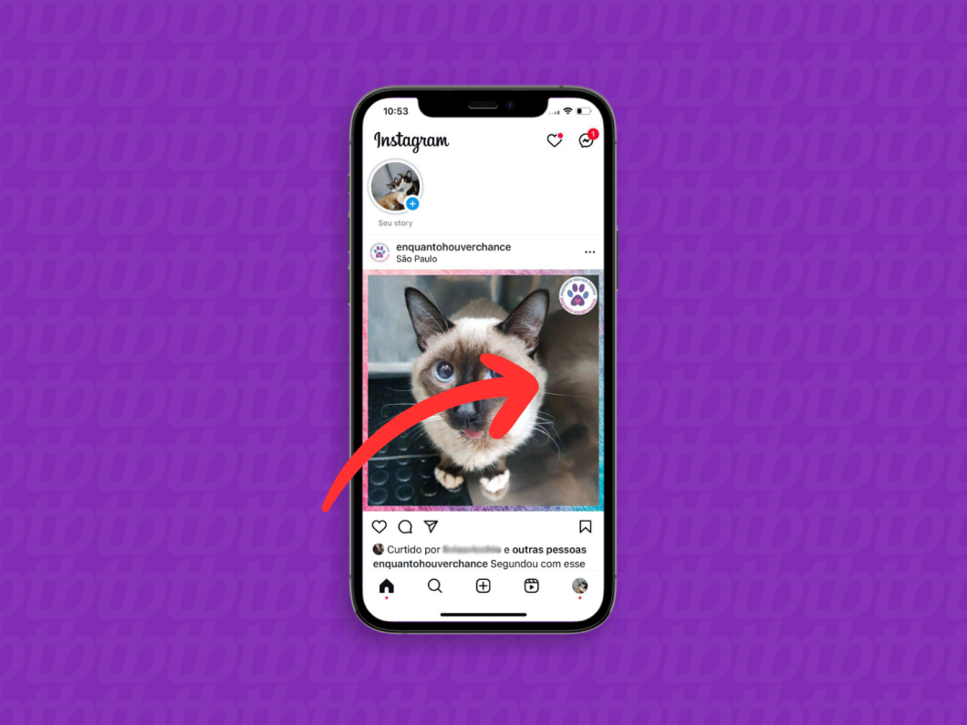Captura de tela do aplicativo Instagram mostra como abrir o menu para criar stories