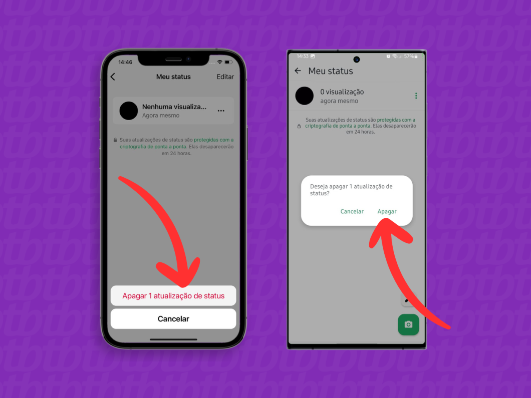 Capturas de tela do aplicativo WhatsApp no iPhone e no Android mostram como confirmar a exclusão do Status