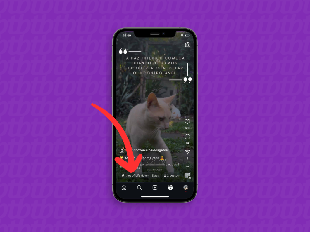 Captura de tela do aplicativo Instagram mostra como abrir as informações da música no Reels