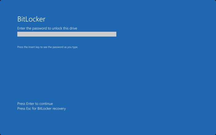 Tela de recuperação do BitLocker durante o boot (imagem: reprodução/Microsoft)