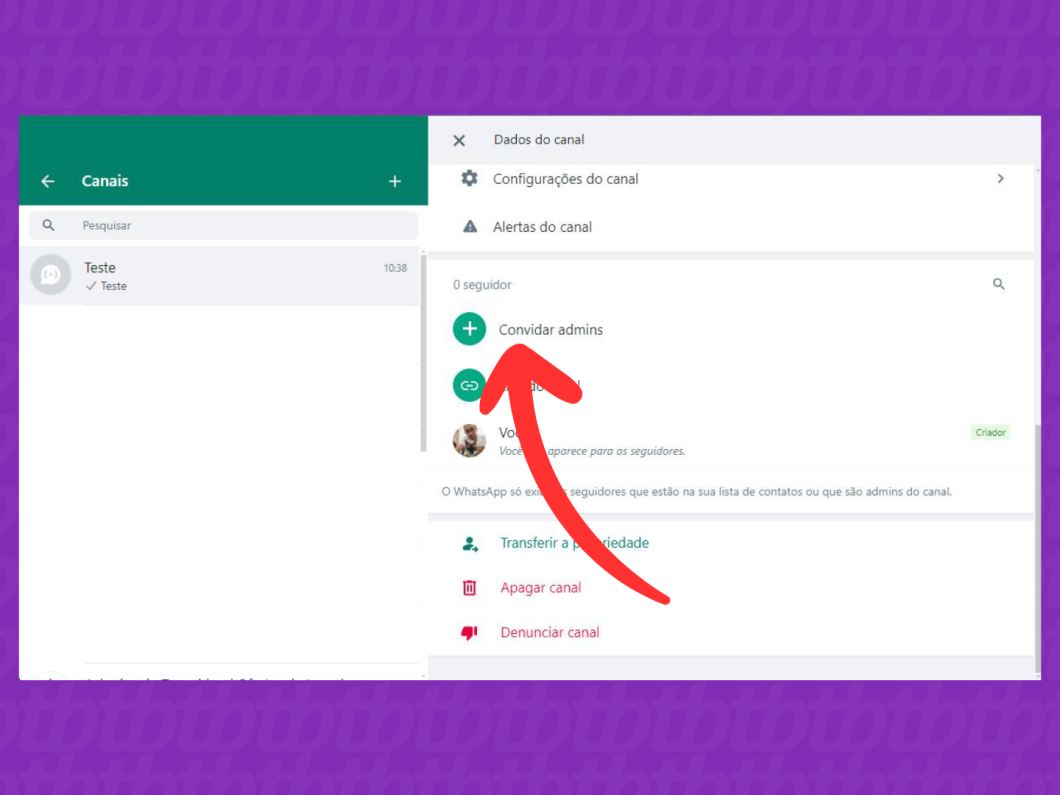 Captura de tela do site WhatsApp Web mostra como abrir a opção Convidar Admins