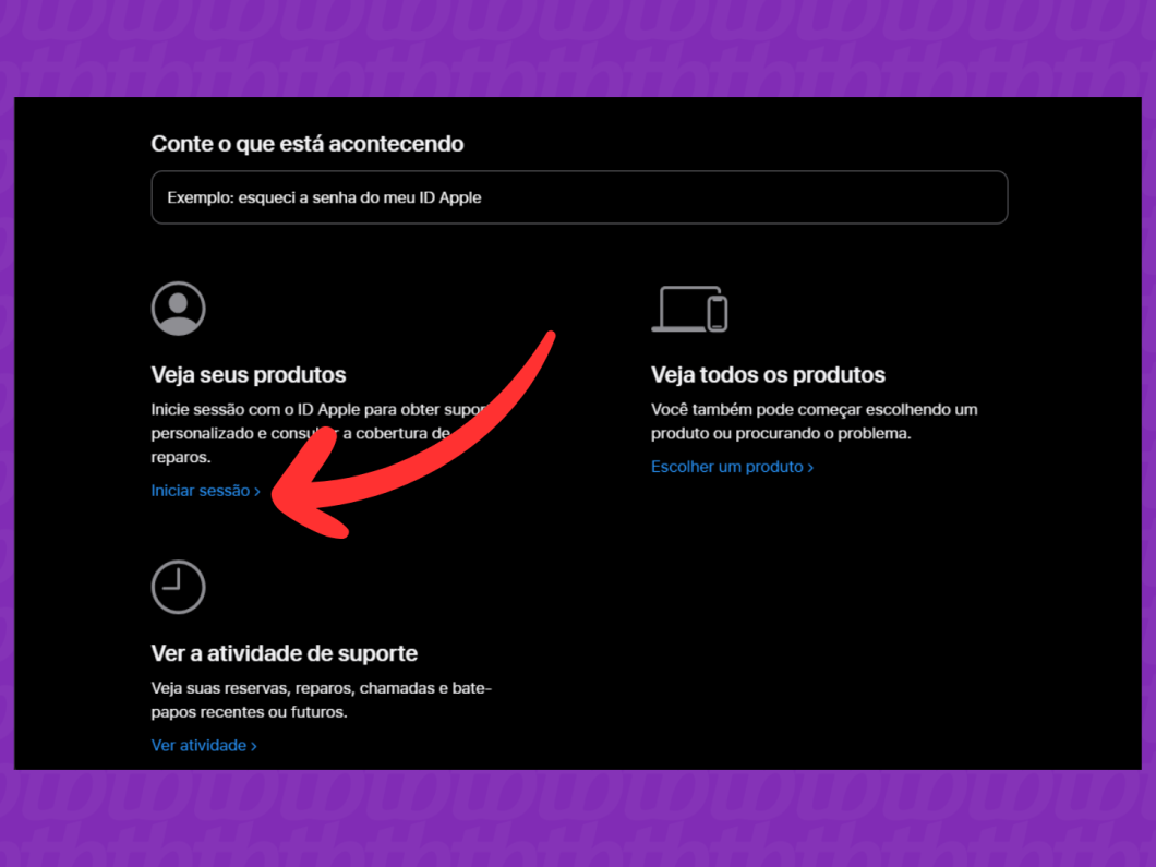 Captura de tela do site Suporte da Apple mostra como iniciar a sessão do ID Apple