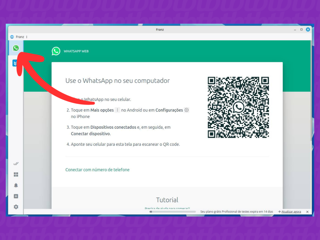 Captura de tela do Franz mostra como selecionar a aba WhatsApp e fazer login