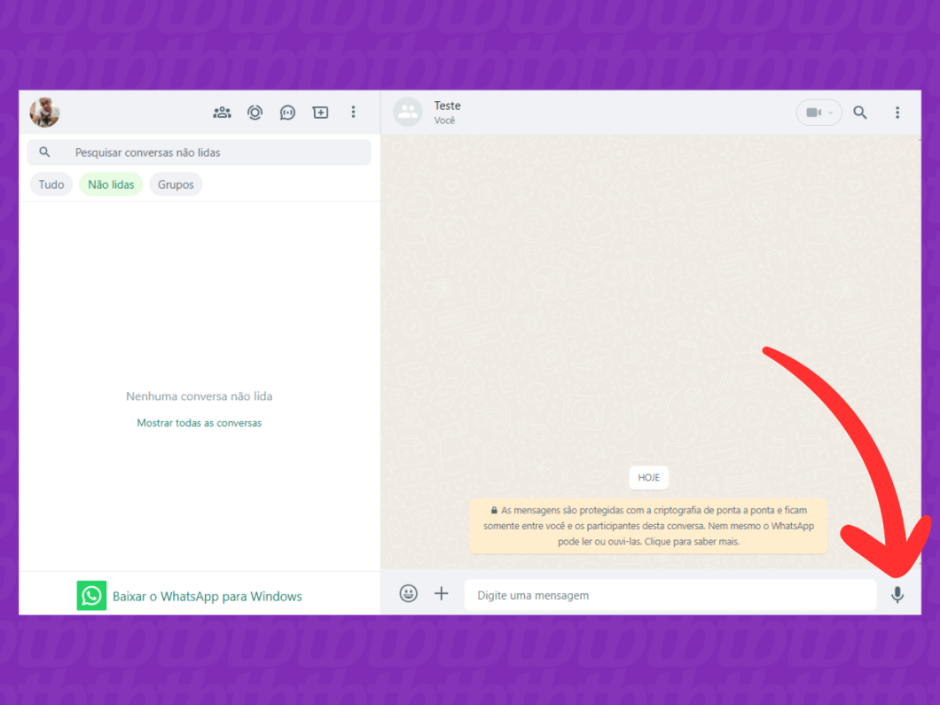 Captura de tela do site WhatsApp Web mostra como ativar o microfone para gravar um áudio