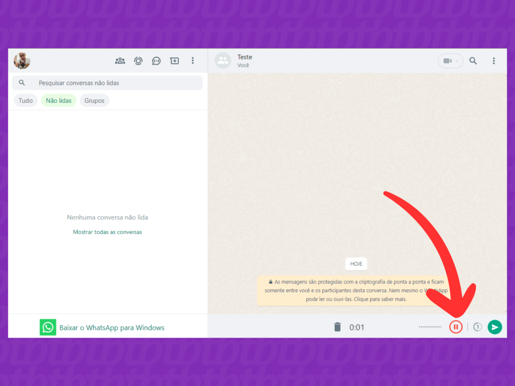 Captura de tela do site WhatsApp Web mostra como parar a gravação do áudio