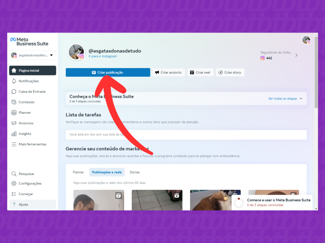 Captura de tela do site Meta Business Suite mostra como acessar a opção "Criar Publicação"