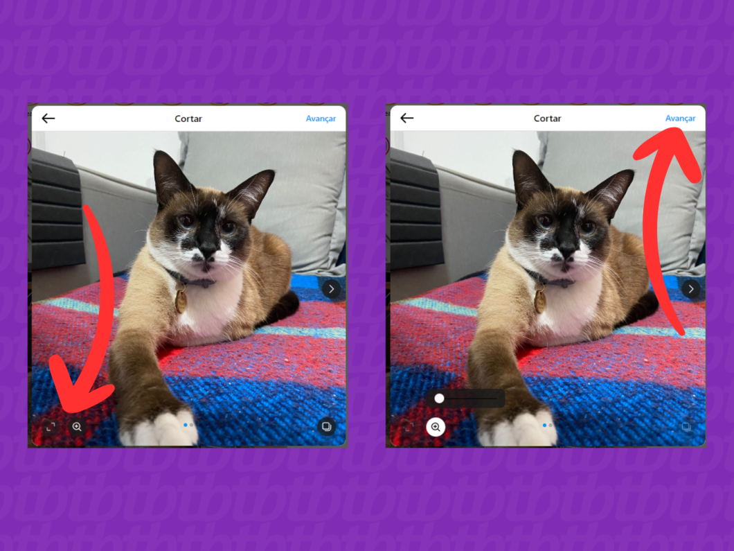 Captura de tela do site Instagram mostra como usar as ferramentas Cortar e Zoom