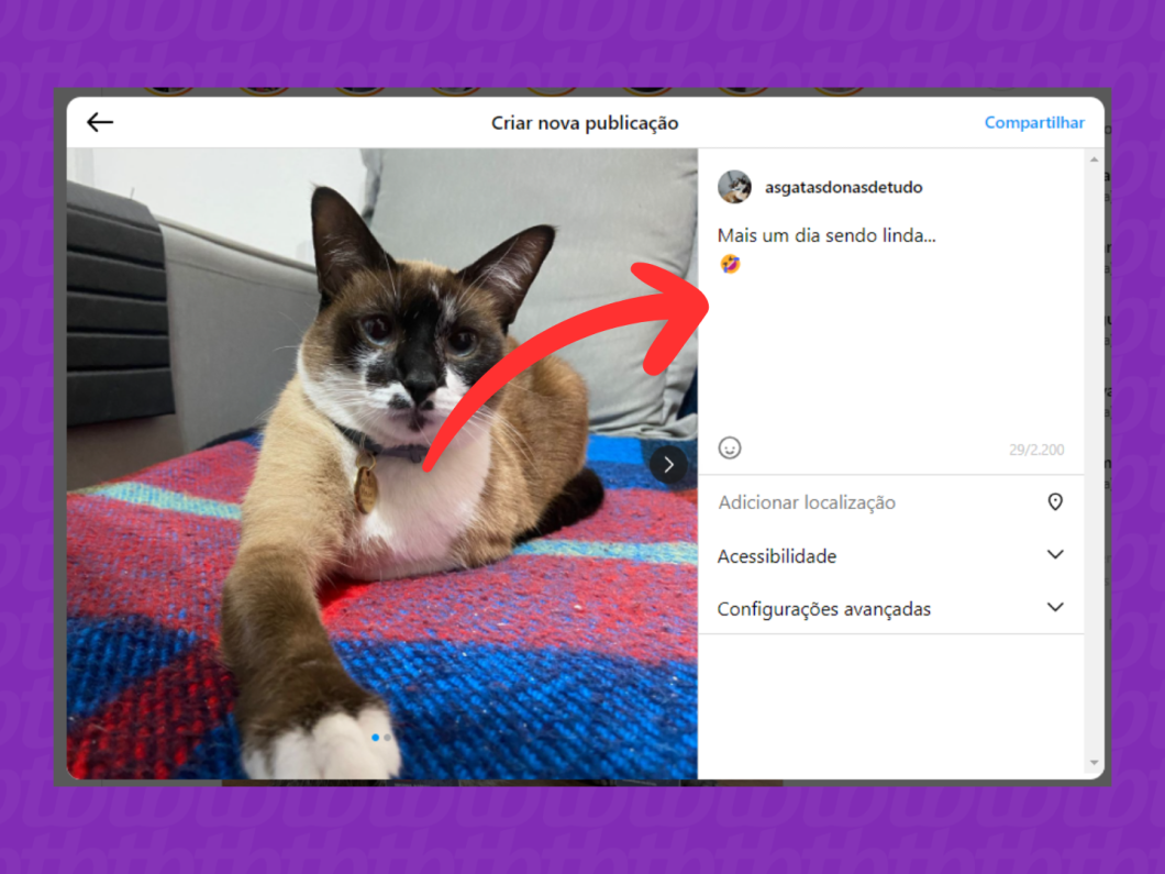 Captura de tela do site Instagram mostra como escrever a legenda para publicação no feed pelo PC