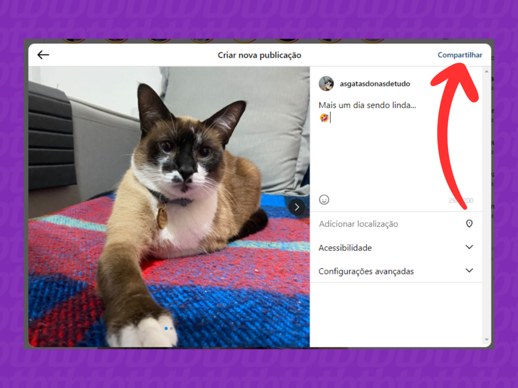 Captura de tela do site Instagram mostra como compartilhar a publicação no feed pelo PC