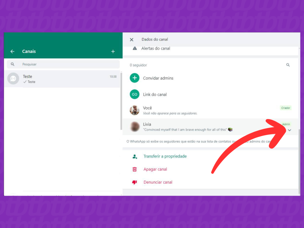 Captura de tela do site WhatsApp Web mostra como selecionar o admin que será removido